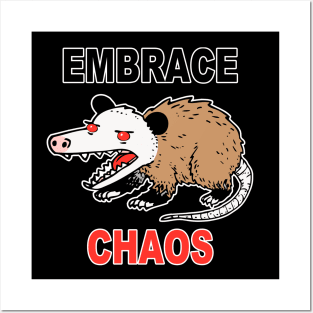 Embrace Chaos Posters and Art